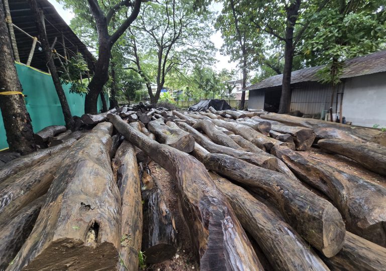 Indian Rosewood Supplier & Exporter – Logs, Slabs, Blanks | Indian Hardwoods