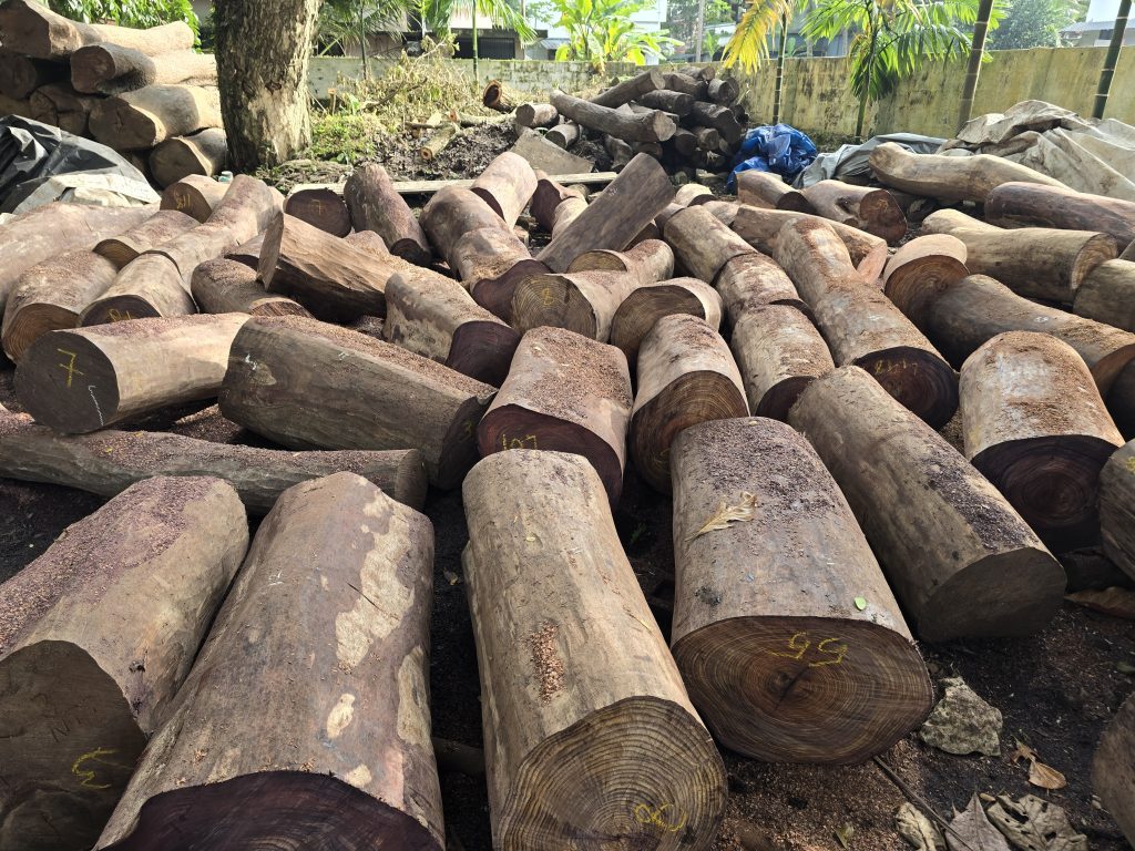 Indian Rosewood Supplier & Exporter – Logs, Slabs, Blanks | Indian Hardwoods
