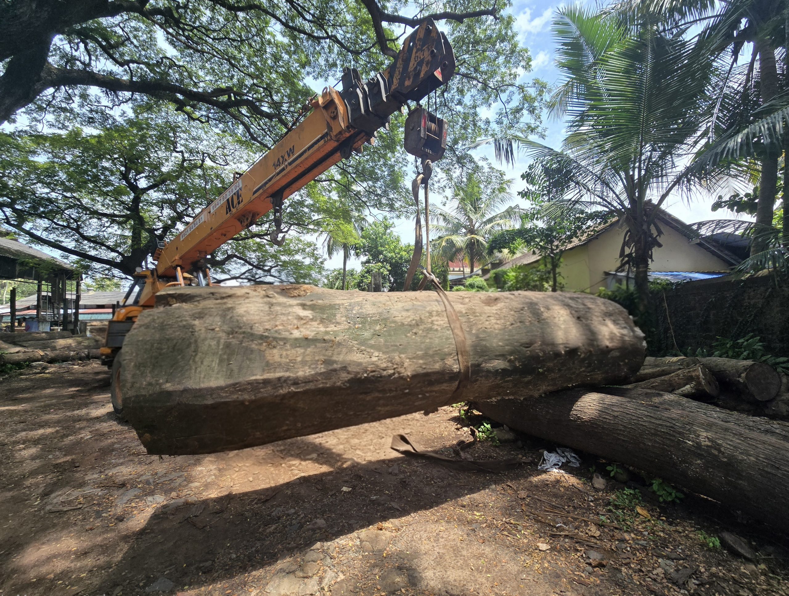 Indian Rosewood Live Edge Slabs for Sale – Export from Kerala